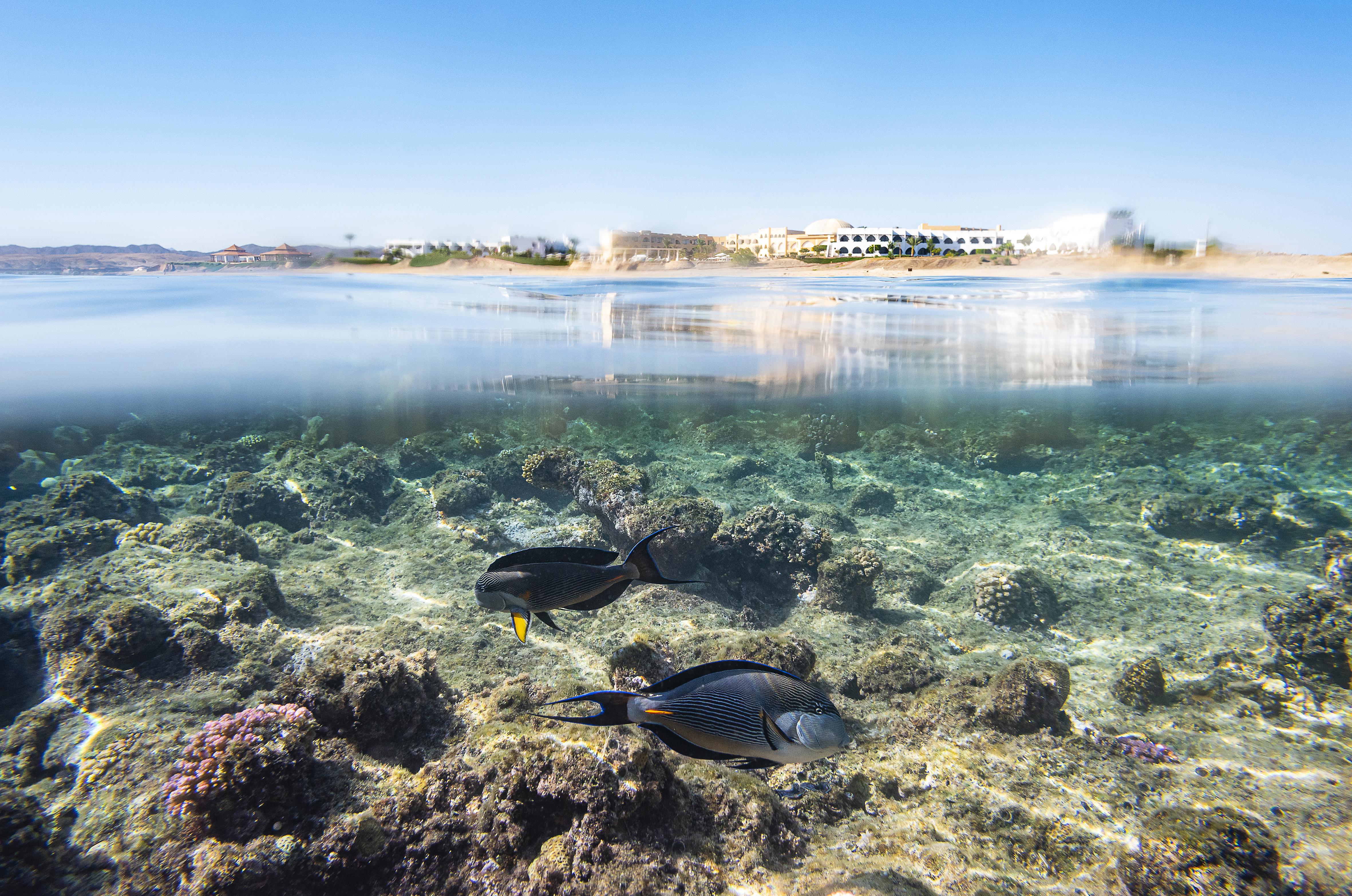 Three Corners Equinox Beach Resort Марса-Алам Экстерьер фото